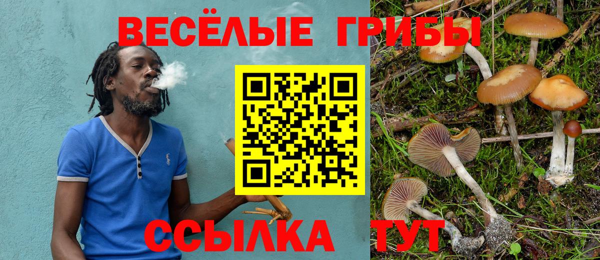 Галлюциногенные грибы Psilocybine cubensis Реж
